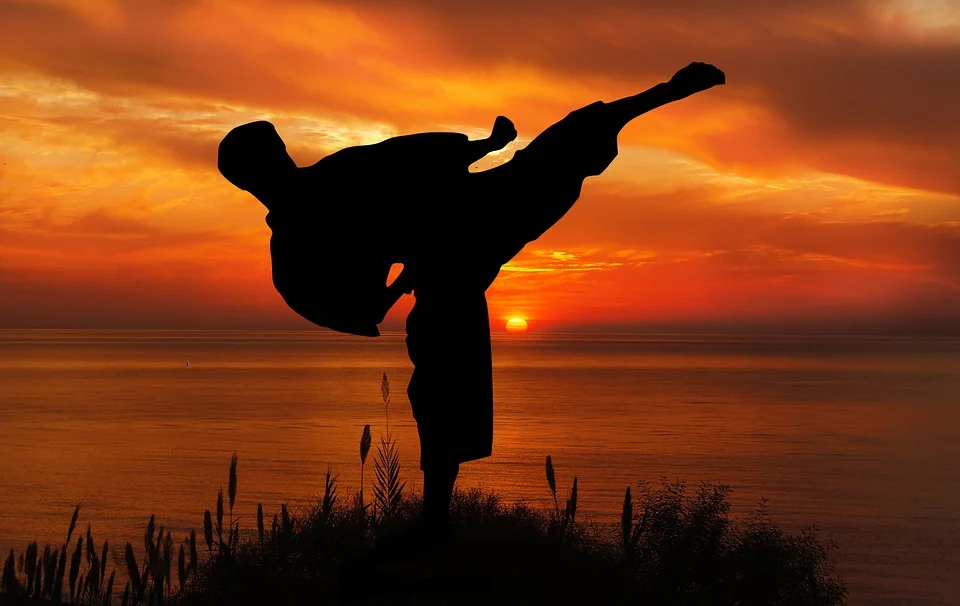 Mistrzostwa Świata w Karate. Powiat średzki reprezentowany za granicą